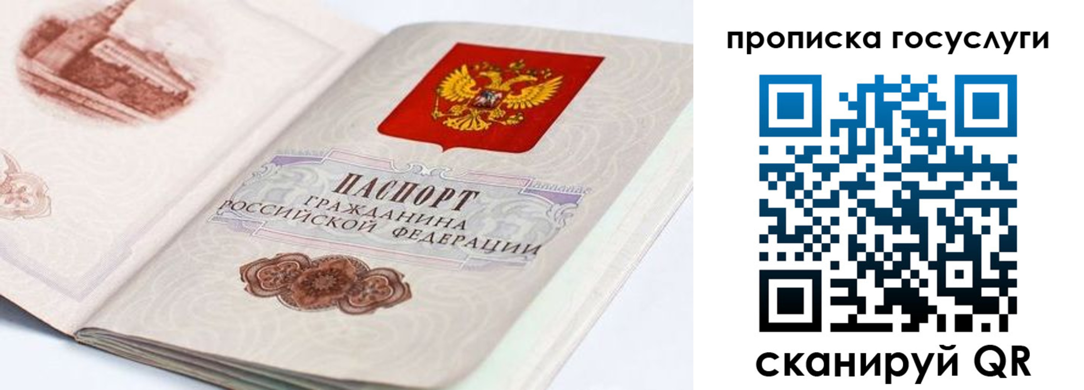 прописка гарантия в Нижней Туре
